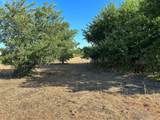 170 Open Spaces - Photo 7