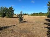 170 Open Spaces - Photo 8