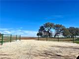 Sunset Ranch Tract 6 Cr 356 Road - Photo 12