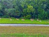 152 Pr 2121 Road - Photo 41