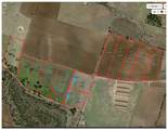 Sunset Ranch Tract 1 Cr 356 Road - Photo 11