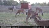 TBD Tract 5 Talbert Ranch Road - Photo 25