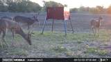 TBD Tract 5 Talbert Ranch Road - Photo 26