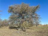 TBD Tract 8 Talbert Ranch Road - Photo 18