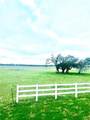 TBD Sam Bass Road - Photo 1