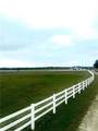 TBD Sam Bass Road - Photo 6
