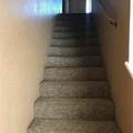 2409 Macarthur Drive - Photo 7