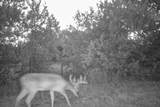 2998 Straws Mill Road - Photo 72
