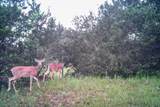 2998 Straws Mill Road - Photo 73