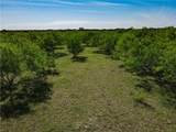 0000 Cr 4120 Road - Photo 5
