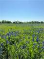 5.72 Acres Fm 308 Road - Photo 1