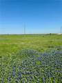 5.72 Acres Fm 308 Road - Photo 11