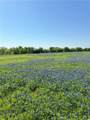 5.72 Acres Fm 308 Road - Photo 7