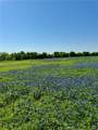 5.72 Acres Fm 308 Road - Photo 8