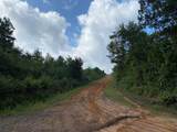 TBD County Road 394 - Photo 1