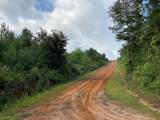TBD County Road 394 - Photo 2