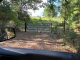 TBD County Road 394 - Photo 4