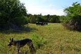 TBD County Rd 2244 Road - Photo 21