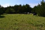 TBD County Rd 2244 Road - Photo 22