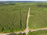 14377 La Highway 157 - Photo 1