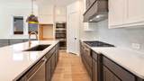 3725 Vase Vine Place - Photo 14