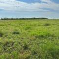 Tract 23 Cr 105 - Photo 2