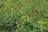 0 County Road 4764 - Photo 8