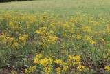 TBD Rs County Road 2365 - Photo 2