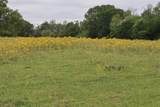 TBD Rs County Road 2365 - Photo 9