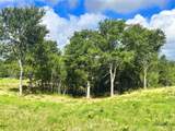 Lot 62 & BS #20 Sunset Court - Photo 3