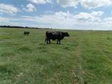 TBD Fm 3025 - Photo 2