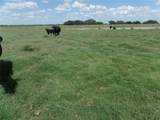 TBD Fm 3025 - Photo 3