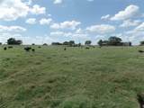 TBD Fm 3025 - Photo 4