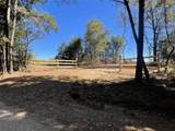 TBD-C County Road 4653 - Photo 1