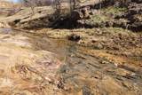 50+/- Acres Fm-103 - Photo 11