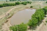 50+/- Acres Fm-103 - Photo 5
