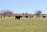50+/- Acres Fm-103 - Photo 7