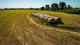 000 County Road 297 - Photo 11