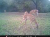 18037 Southhill Drive - Photo 9
