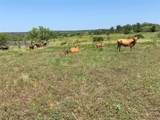 4801 Fm-1702 - Photo 5