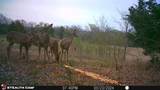 3285 Roland Road - Photo 5