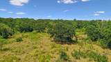TBD County Road 406 - Photo 13
