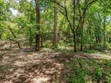 10849 County Road 1117 - Photo 12