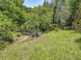 10849 County Road 1117 - Photo 21
