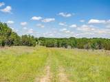 10849 County Road 1117 - Photo 24