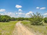 10849 County Road 1117 - Photo 27