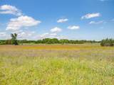10849 County Road 1117 - Photo 6