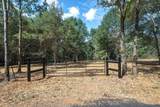 Tract 1 County Road 484 - Photo 4