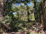 tbd County Road 226 - Photo 19