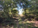 tbd County Road 226 - Photo 21